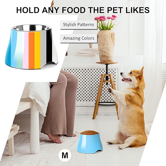 Dog Bowls,Cone Friendly Non Slip Single Dog Bowl with Stainless Steel Inner, Raised Bowls for Small Dogs Spaniel Dogs Long Ear, High Capacity, M/2 Cup Aqua Blue