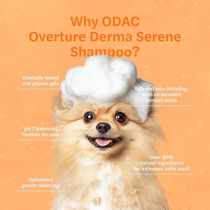 ODAC Overture Derma Serene Pet Shampoo, Gentle, Skin Friendly with Winter Cherry Root & Korean Patchouli, Rich Lather & Herbal Freshness, for Dogs & Cats, 10.14 fl oz Korea Beauty Pet Skincare