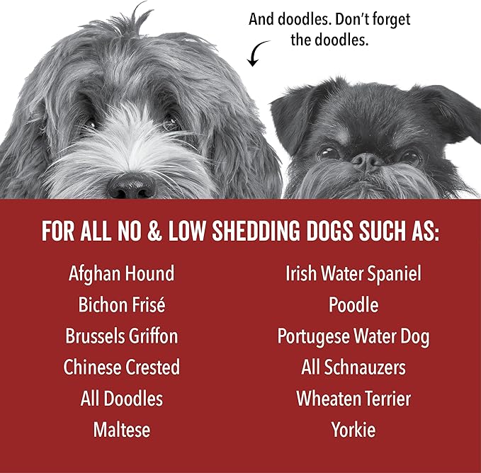 Pride and Groom DogDays Curly + Wavy Grooming Shampoo | Tearless, All-Natural Shampoo for No and Low Shedding Dogs | Moisturizing Formula for Soft, Shiny, & Healthy Fur – 16 oz