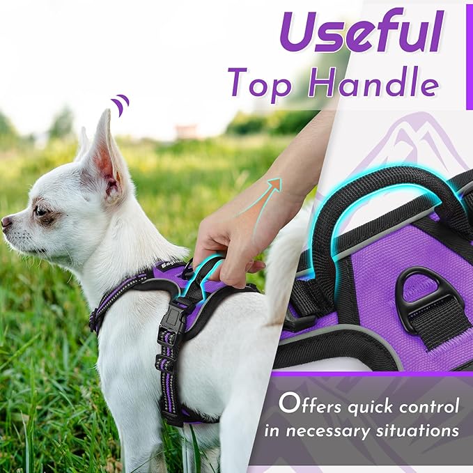 Eagloo Small Dog Harness No Pull, Service Vest with Reflective Strips and Control Handle, Adjustable and Comfortable for Walking, No Choke Pet Harness with 2 Metal Rings, Purple, XS