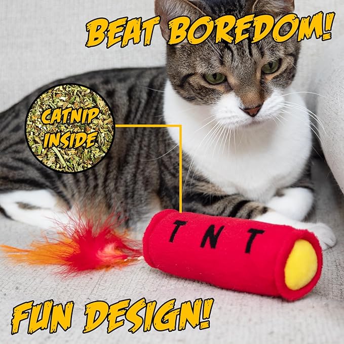 Cat Toy TNT, Cat Toys for Indoor Cats, Kitten Toys, Catnip Toys for Cats of All Breeds with Dangle Feathers and Jingle Sound - Kicking, Biting, Chewing