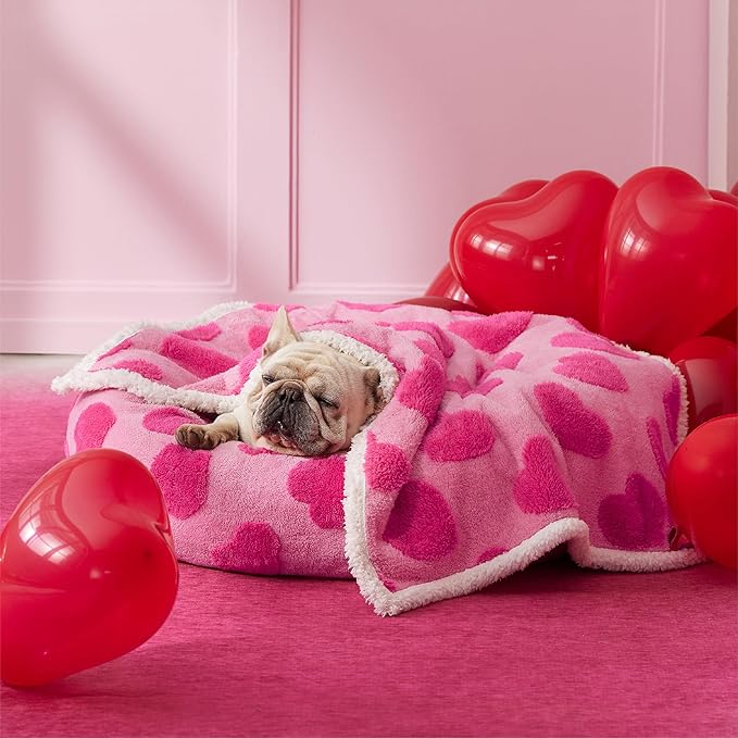 Lesure Waterproof Puppy Blanket for Medium Dogs - Washable Double Sided Dog Blankets with Warm Jacquard Shag and Soft Sherpa Fleece, Pet Cat Blanket for Couch Protection, Love Pattern Design，Pink