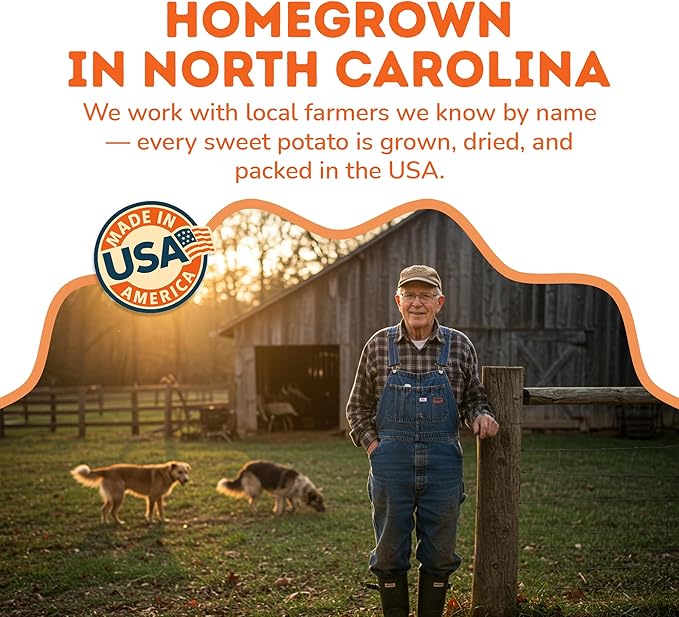 Davie's Sweet Potato Dog Treats - Healthy, Natural, Low Fat Chews Made in USA - 1 lb Bag, Pack of 2