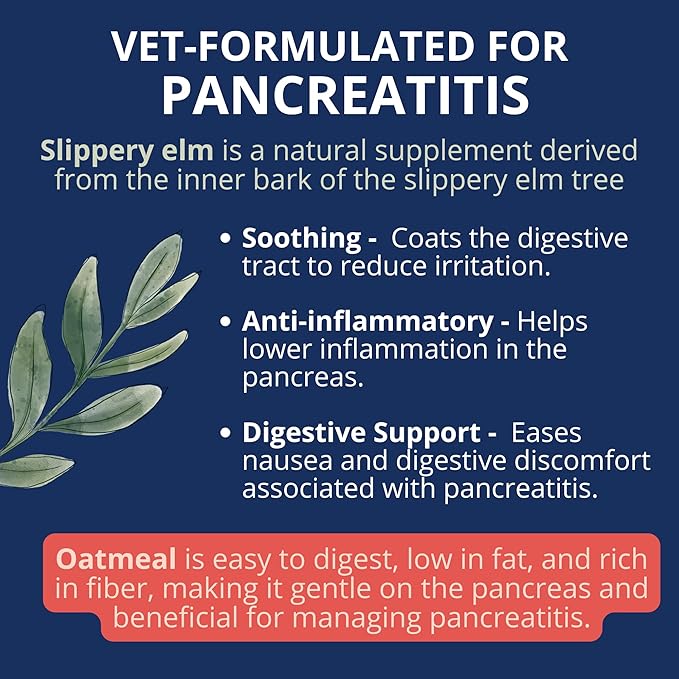 Under the Weather Bland Diet for Dogs | Easy to Digest Stomach Support for Sick Dogs | Contains Electrolytes, All Natural | 6 Pack - Turkey, Oatmeal, Sweet Potato & Slippery Elm - 6oz