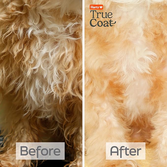 New! Hartz True Coat Curly or Wavy Coat Specific Dog Shampoo, Detangles & Conditions with Oat Milk, Coconut Oil & Shea Butter