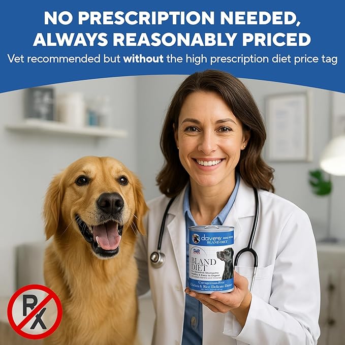 Dave's Pet Food Bland Diet Dog Food (Chicken & Rice), Sensitive Stomach, Easy to Digest, Gluten-Free, Digestive Care, Wet Canned, 13.2 oz (Case of 12)
