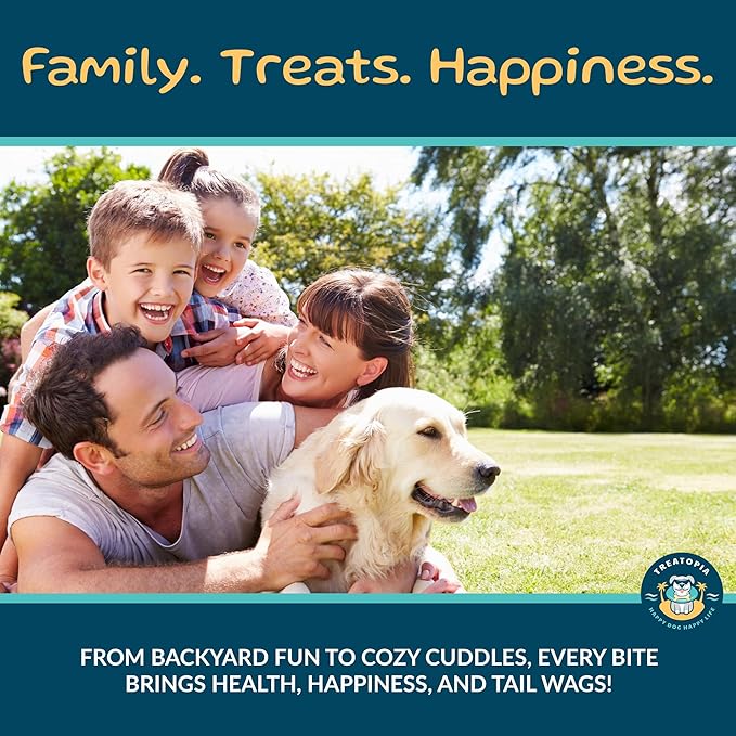 Beef Lung Nuggies Dog Treats, 1 LB Bag - All-Natural, Sustainable, Healthy, High Protein, Hand-Trimmed, Slow-Roasted, Made in The USA, Nutritious, No Additives, No Fillers