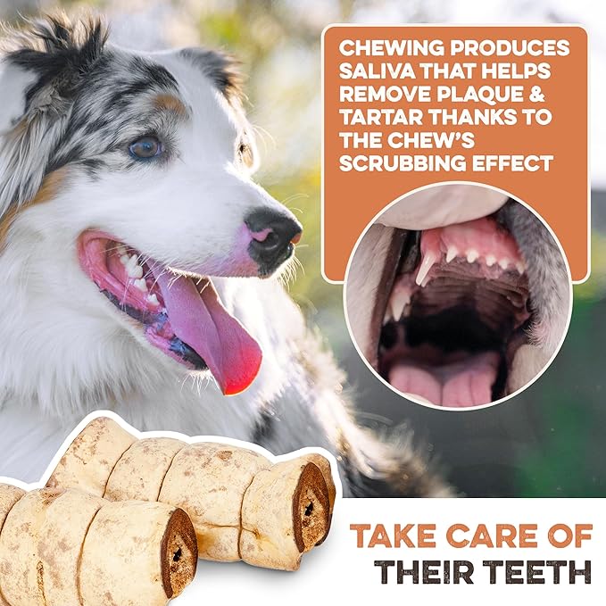 Premium Beef Cheek Rolls for Dogs 5-7" - (3-Pack), Peanut Butter Flavored Long Lasting, Safe & Natural Rawhide Alternative Chews, Ideal for Large Dogs & Aggressive Chewers, Supports Dental Health