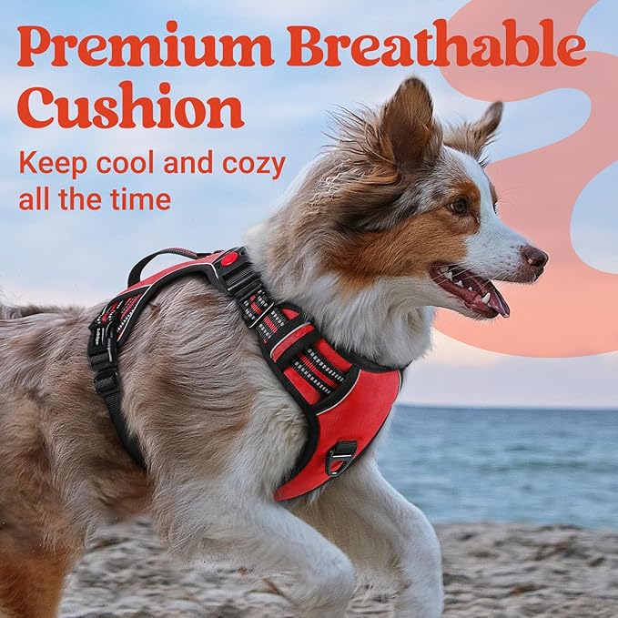 rabbitgoo Dog Harness for Large Dogs, No Pull Pet Harness with Soft Padded Handle, Adjustable Reflective Vest with 3 Buckles, Easy Walking Harness with 2 Leash Clips, Red, XL