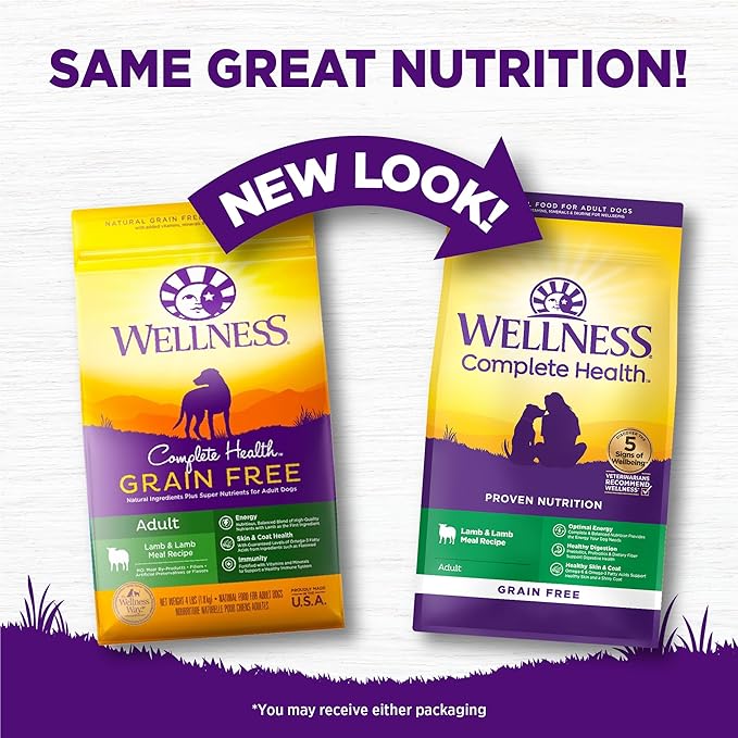 Wellness Complete Health Dry Dog Food, Grain Free, Natural, Lamb Recipe, (22-Pound Bag)