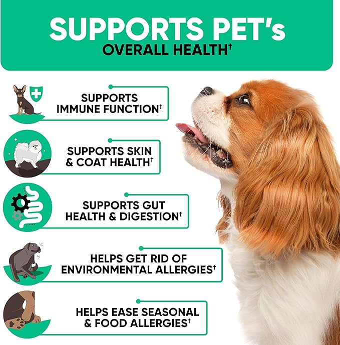 Natural Dog Allergy Chews for Dog Itch - Tasty Allergy Relief Pet Supplement for Dry Itchy Skin, Hot Spots, Seasonal Dog Allergies - 180 Anti Itch Immune Treats for Dogs Licking Paws, Antihistamine