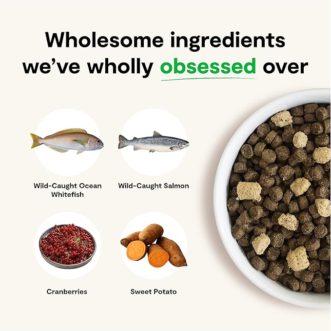 Open Farm, RawMix Grain-Free Dry Dog Food, Protein-Packed Kibble Coated in Bone Broth with Freeze Dried Raw Chunks, Salmon Whitefish & Rockfish, Wild Ocean Recipe, 20lb Bag