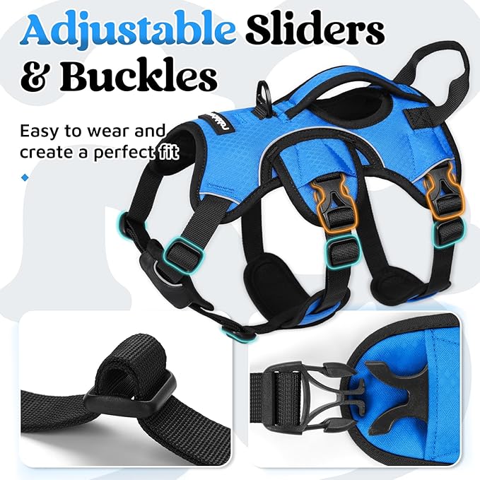 rabbitgoo Escape Proof Dog Harness, Soft Padded Full Body Pet Harness, Reflective Adjustable No Pull Vest with Lift Handle and Leash Clip for Large Dogs Walking Hiking Training, S, Blue