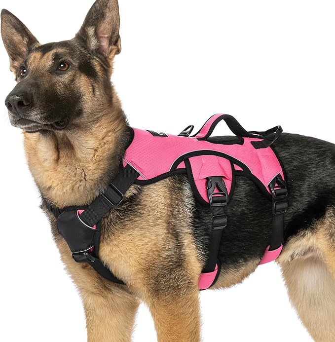 rabbitgoo Escape Proof Dog Harness, Soft Padded Full Body Pet Harness, Reflective Adjustable No Pull Vest with Lift Handle and Leash Clip for Large Dogs Walking Hiking Training, XL, Pink