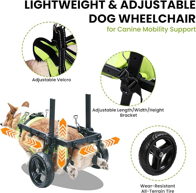 Dog Wheelchair for Back Legs - Lightweight Mobility Cart for Medium Breed Dogs with Disabled, Injured, or Arthritic Hind Legs - Includes High-Visibility Vest, Leash & Sling Lift (L)