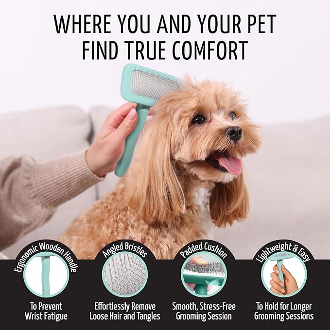 Tauro Pro Line Wooden Deshedding Dog Brush for Long Goldendoodle, Labradoodle & Poodle Hair - Mint Slicker Brush for Dog & Cat Grooming - Rectangular Flexible Cushion & Non-Slip Grip, M