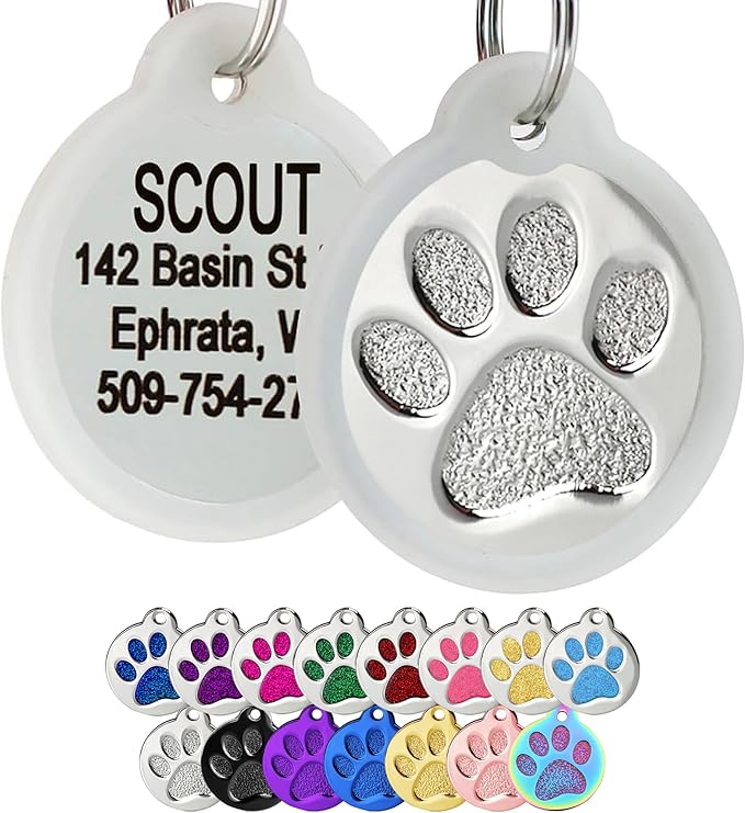 GoTags Paw Print Round Stainless Steel Pet Tag for Dogs and Cats, Personalized with 4 Lines of Custom Engraved ID with Silencer, in Stainless Steel and 15 Colors Small and Large, Silver