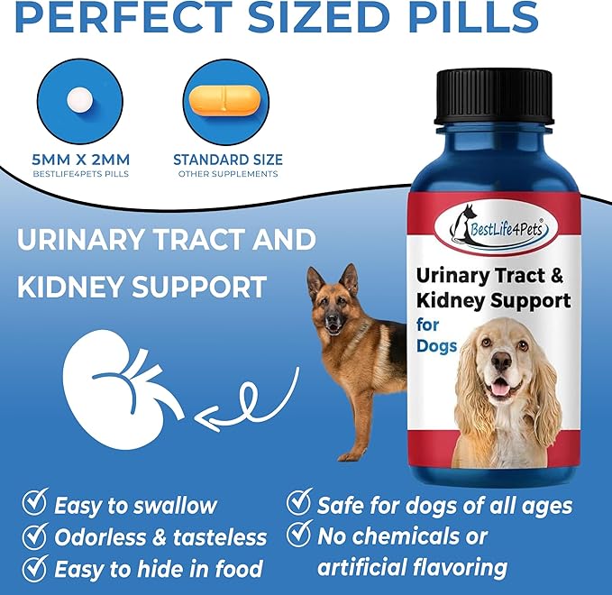 BestLife4Pets Dog UTI Kidney Support, Natural Urinary Tract Infection Treatment, Renal and Bladder Control Supplement, Easy to Use Pills 2 Pack