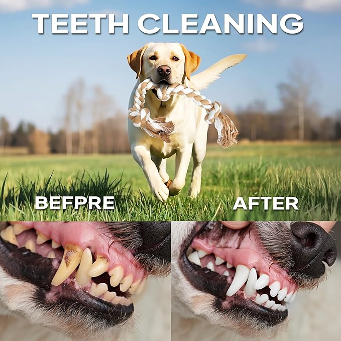 PetiFine Dog Rope Toys for Large/Medium Dogs, Chew Toys for Aggressive Chewers, Natural Cotton 3 Knots Interactive Tug of War Dog Pull Rope, Teeth Cleaning