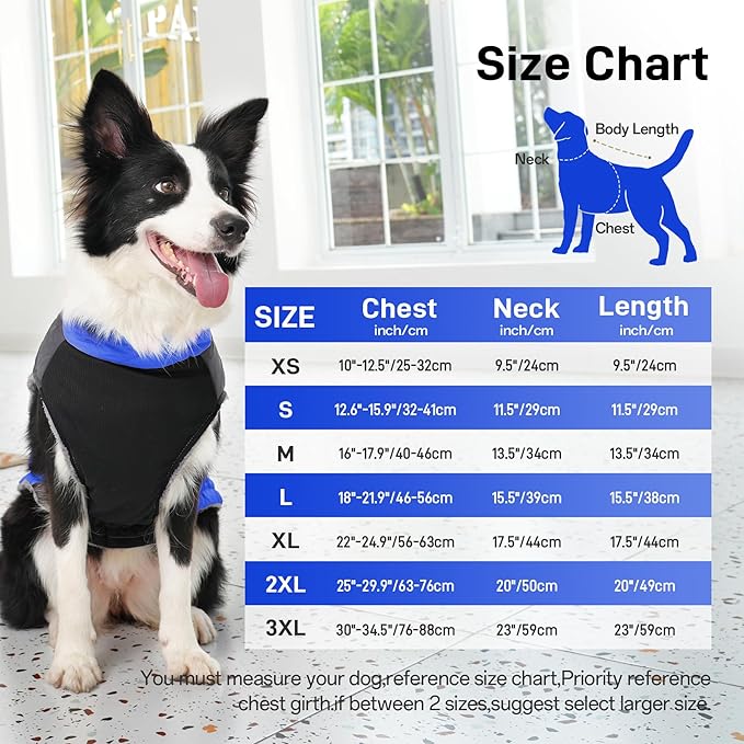 Warm Fleece Dog Coats for Small Dogs,D-Rings Waterproof Puppy Jacket for Cold Winter,Blue XS