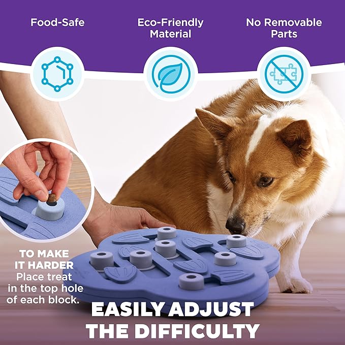 Outward Hound by Nina Ottosson Dog Hide N' Slide Treat Puzzle Enrichment Toy, Level 2 Intermediate, Purple, Composite