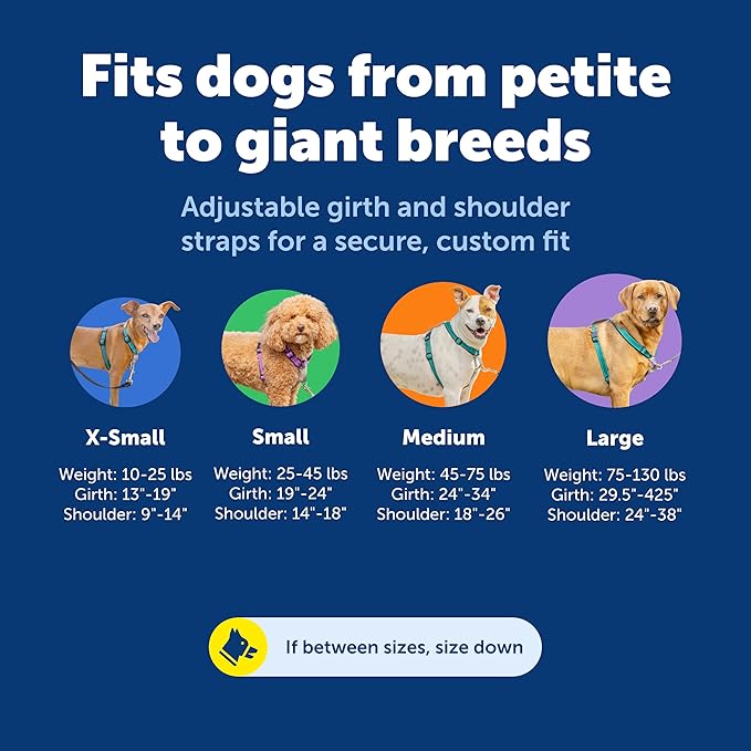 PetSafe 3-in-1 Harness - Comfortable Easy-Walk Dog Chest Harness with Front Leash Attachment to Reduce Pulling, Choking & Gagging - Dog Obedience Gear - Large- Teal