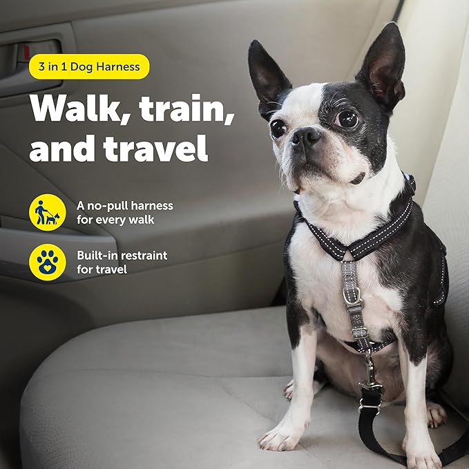 PetSafe 3 in 1 Dog Harness - No Pull Solution for Dogs - Reflective Dog Harness - Front D-Ring Clip Helps Stop Pulling - Comfortable Padded Straps - Top Handle Enhances Control - Black - Extra Small