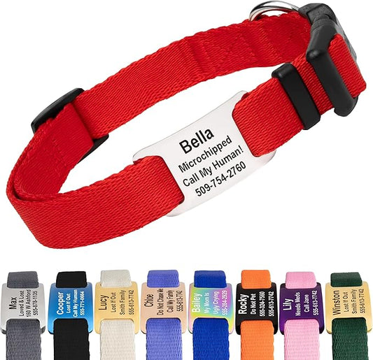 GoTags Personalized Dog Collar with Nameplate, Adjustable Dog Collar with Custom Engraved Slide On Pet ID Tag in Stainless Steel, Silent, No Noise Dog Tag for Large Medium and Small (Red, Large)