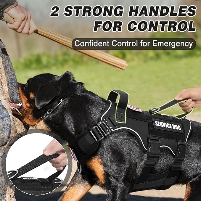 Tactical Service Dog Vest and Leash Set,Heavy Duty Harness with Metal Buckles for Large Dogs,Adjustable No Pull Pet Vest with 10 Patches,for Training Working Hiking,Black XL
