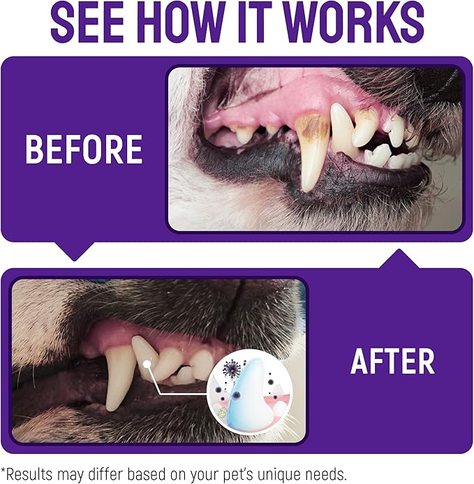 SILVER GRADE Teeth & Gum Dog Breath Spray for Pets Mouth – Cat Dental Care with Silver – Dog Breath Freshener Helps with Tartar & Caries – Plaque Remover for Daily Use – 4 Oz