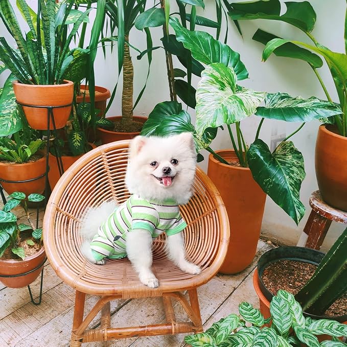 TONY HOBY Dog Pajamas, Male Dog Jumpsuit with Green Stripe, Dogs Clothes for Small Medium Size Dogs (Green&White, Boy, L)