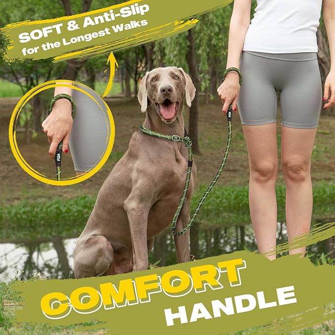 Fida Durable Slip Lead Dog Leash, 6 FT x 3/8" Heavy Duty Dog Loop Leash, Comfortable Strong Rope Slip Leash for Small Dogs and Puppies, No Pull Pet Training Leash with Highly Reflective(3/8", Green)