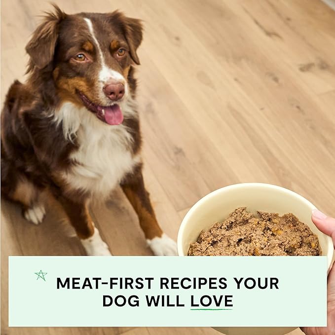 Open Farm Canned Dog Food, Pate for Complete & Balanced Nutrition, Grain Free and Legume-Free, Grass-Fed Beef Recipe, 12.5oz Cans (Pack of 12)