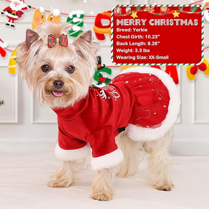Dog Christmas Outfit, Puppy Tulle Dress, Pet Fall Clothes for Small Dogs Girl, Lightweight Velvet Puppy Dresses, Pet Cat Apparel (M, Red)
