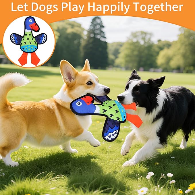 Squeaky Dog Toys,Crinkle Dog Toy,Colorful Absurd Duck Dog Toys,Interactive Dog Toy,Fun for Indoor Puppies,Chewing and Play(Green)