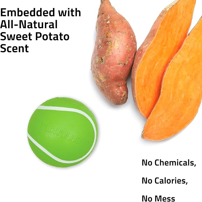 Playology Dog Toys | Squeaky Chew Ball - Bouncy Durable Floating Fetch Ball for Dogs | Medium Sweet Potato Scented Toy - Easy to Clean and Made from Non Toxic Materials