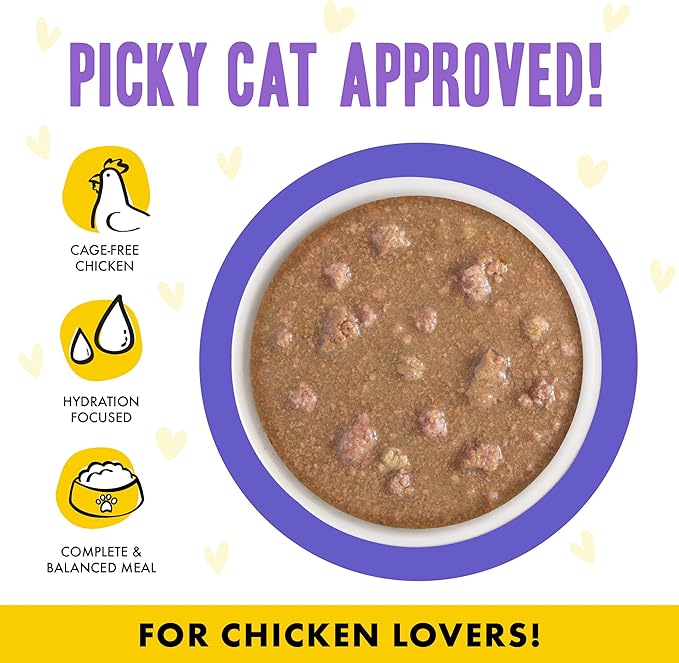 Weruva B.F.F. OMG - Best Feline Friend Oh My Gravy!, Chicken & Beef Be Happy with Chicken & Beef in Gravy, 2.8oz Can (Pack of 12)