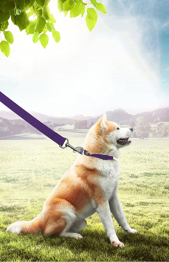 PETGOGO 15ft 20ft 30ft 40ft 50ft Long Dog/Puppy Lead Obedience Recall Training Dog Leashes for Small Medium Dogs Camping, Training, Play, or Backyard (20 FT, Purple)