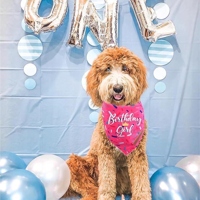 Realeaf Birthday Girl Dog Bandana, Dog Birthday Party Supplies,Premium Durable Fabric, Bandana for Large and Extra Large Dogs (Pink, X-Large)