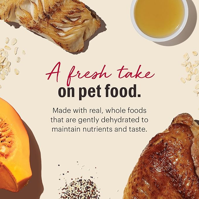 The Honest Kitchen Wholemade™ Whole Grain Turkey & White Fish Dog Food, 10 lb Box