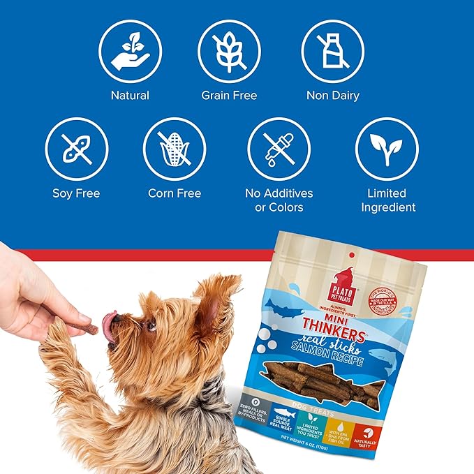 Plato Mini Thinkers Salmon Recipe 6oz, Natural (850002221367)