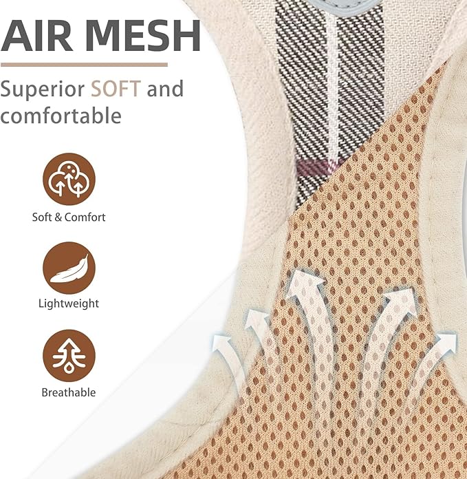 PUPTECK Adjustable Pet Harness Collar &Leash Set Step in for Small Dogs Puppy &Cats Outdoor Training &Running, Soft Mesh Padded Reflective Vest Harness,M: Chest girth: 16-18in Collar: 11.8-15.7in