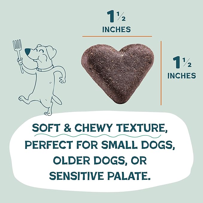 Shameless Pets Soft-Baked Dog Treats, Pumpkin Nut Partay - Natural & Healthy Chews for Digestive Support with Fiber - Doggy Biscuits Baked & Made in USA, Free from Grain, Corn & Soy - 1 Pound 1Pack