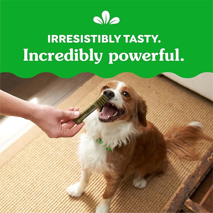 Greenies Petite Dental Dog Treats, Fresh Flavor, 12 oz. Pack (20 Treats)