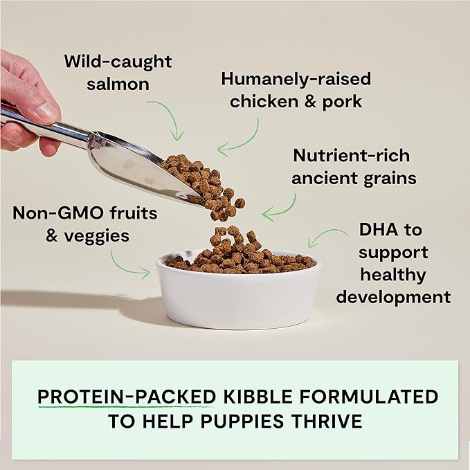 Open Farm, Ancient Grains Dry Dog Food for Puppies, Protein-Rich & Nutrient Dense, 90% Animal Protein Mixed with Non-GMO Fruits, Veggies and Superfoods, Chicken & Salmon Recipe for Puppy, 4lb Bag
