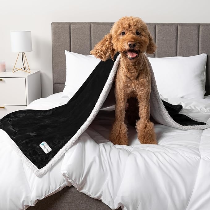 PetAmi Waterproof Dog Blanket for Small Medium Dog Puppy Cat Throw for Couch Cover Leakproof Protection, Sherpa Fleece, Reversible Soft Washable 29x40 Black