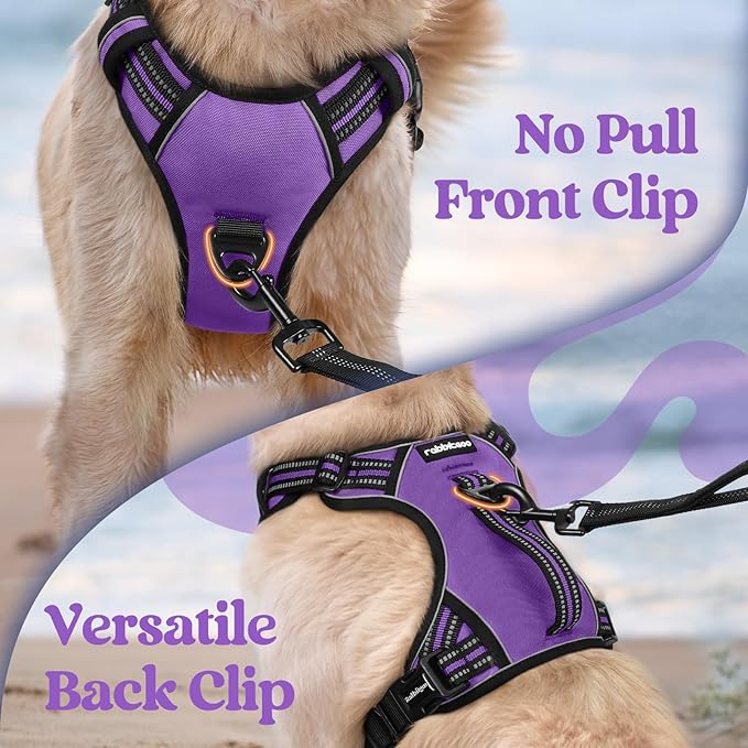 rabbitgoo Dog Harness for Large Dogs, No Pull Pet Harness with Soft Padded Handle, Adjustable Reflective Vest with 3 Buckles, Easy Walking Harness with 2 Leash Clips, Purple, L