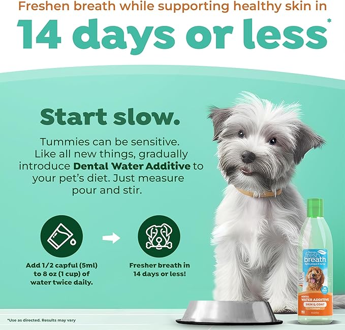 TropiClean Fresh Breath Water Additive for Dogs with Collagen, Skin Health Support for Dogs, Breath Freshener and Teeth Cleaning Solution, 16oz.