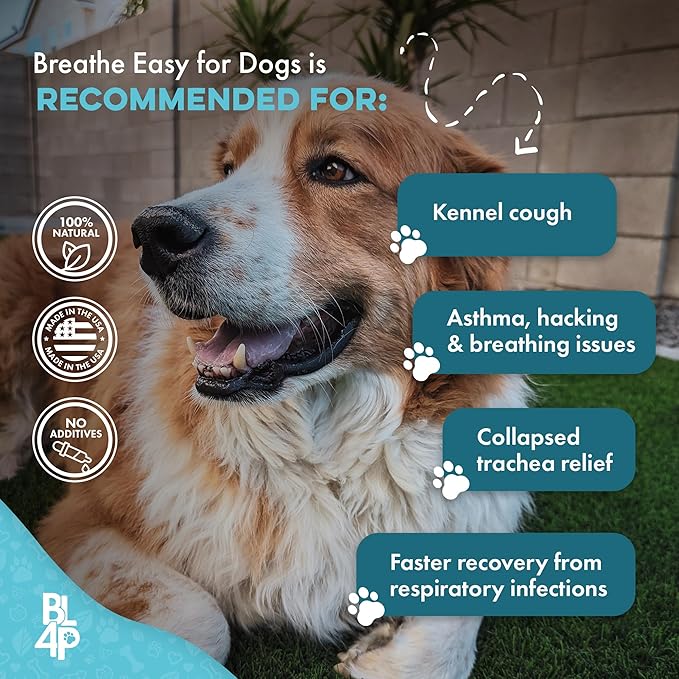 Dog Kennel Cough Treatment & Natural Decongestant, Breathe Easy Cough Treatment for Wheezing, Sneezing, and Nasal Congestion, Supports Respiratory Health and Eases Cold Symptoms, 800 Small Pills