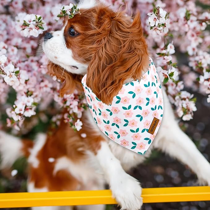 Spring Dog Bandanas with Snap Button, 2 Pack Floral Dog Scarf for Boy & Girl, Durable Fabric, Adjustable Fit, Unique Shape, Gift for Dogs, Daisy Bandana for Medium and Large Dogs (Large)